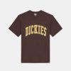 Mand Dickies T-Shirts | Aitkin Tee Java