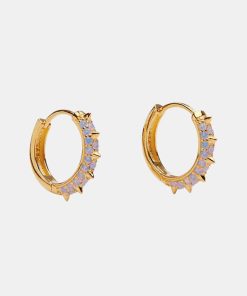 Kvinde Pico Smykker | Suede Crystal Hoops