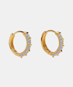 Kvinde Pico Smykker | Suede Crystal Hoops