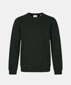 Mand Colorful Standard Sweatshirts | Organic Sweatshirt Midnight Forest