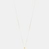 Kvinde Pico Smykker | Caeur Necklace Gold Clear